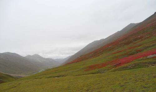 dudipatsar lake trek