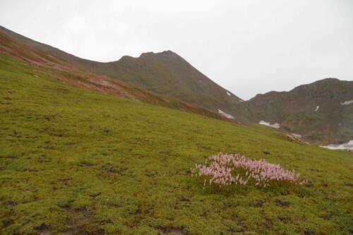 dudipatsar lake trek