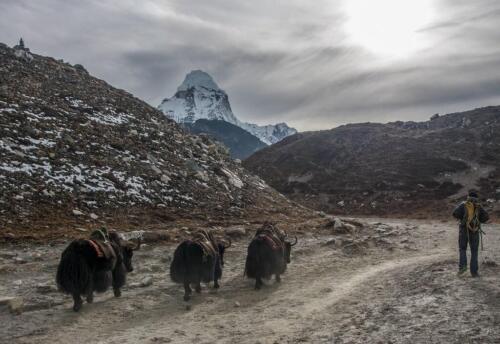 everest basecamp and island peak
