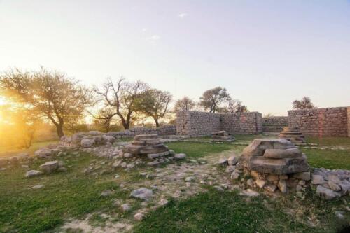 full-day private guided tour of taxila gandhara civilization