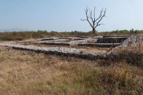 full-day private guided tour of taxila gandhara civilization
