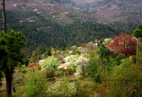 full-day private murree nathiagali tour