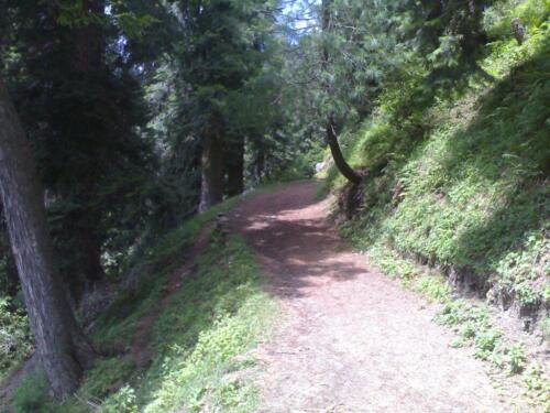 full-day private murree nathiagali tour