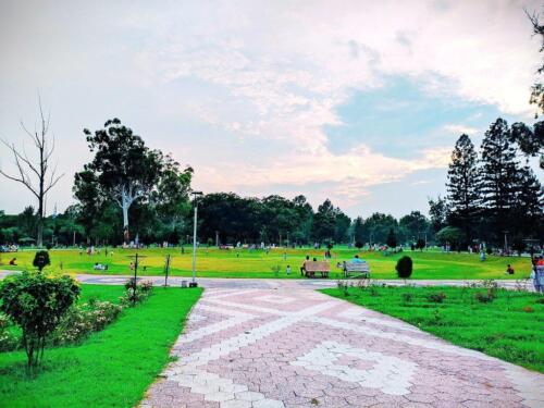 full-day sightseeing tour of islamabad