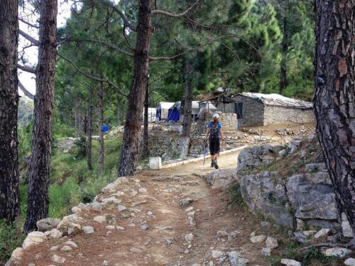 full-day sightseeing tour of islamabad