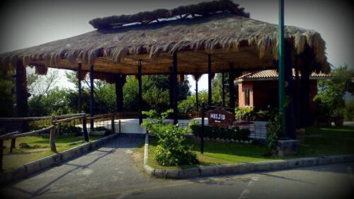 full-day sightseeing tour of islamabad