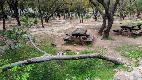 full-day essential islamabad tour