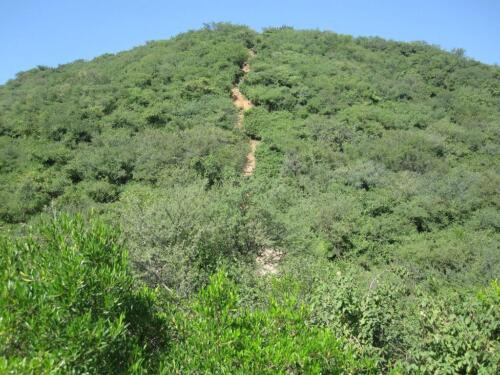 full-day essential islamabad tour