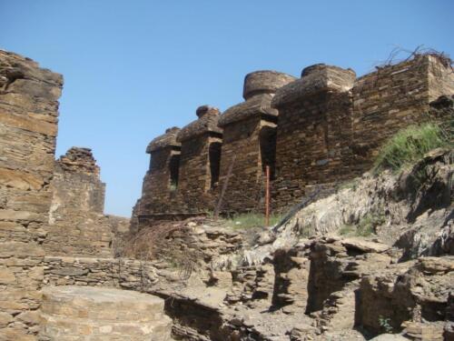 gandhara tour