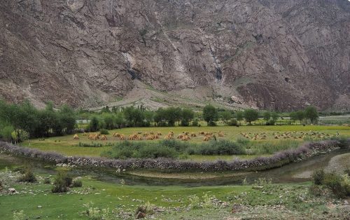 ghizer tours & short treks