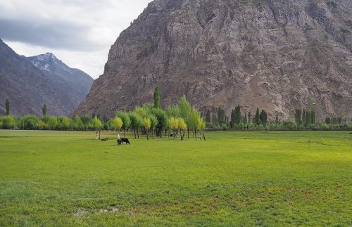 ghizer tours & short treks