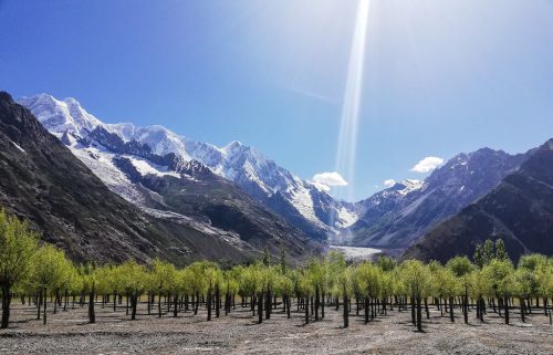 ghizer tours & short treks