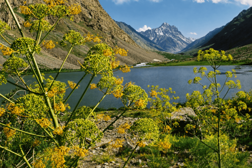 ghizer tours & short treks