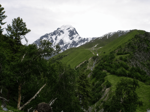 gilgit tours & short treks