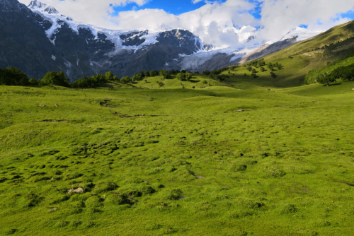 gilgit tours & short treks