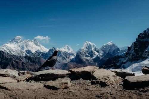 gokyo lake renjo la pass trek