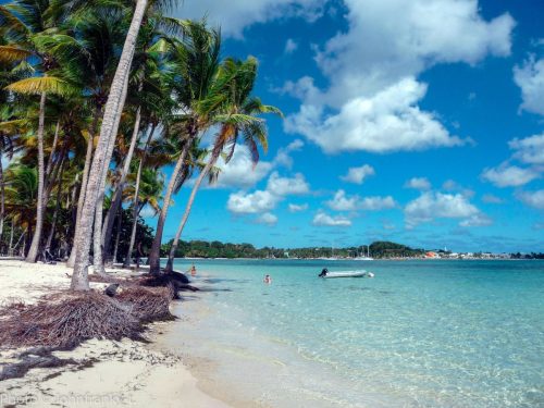 guadeloupe tours