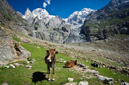 hunza valley tours & treks