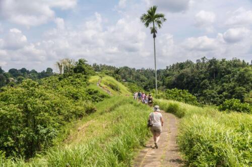 indonesia tours