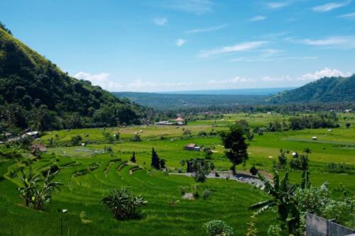 indonesia tours