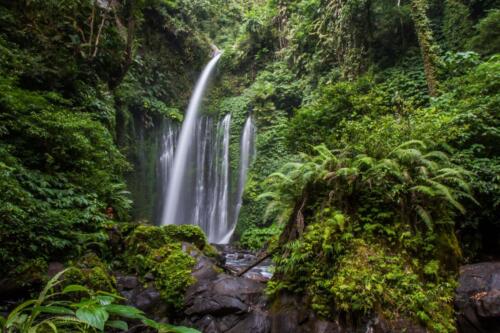 indonesia tours