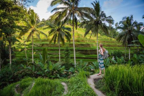 indonesia tours