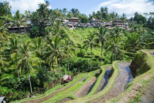 indonesia tours