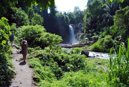indonesia tours