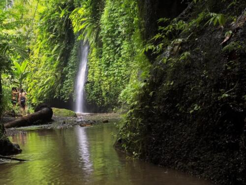 indonesia tours