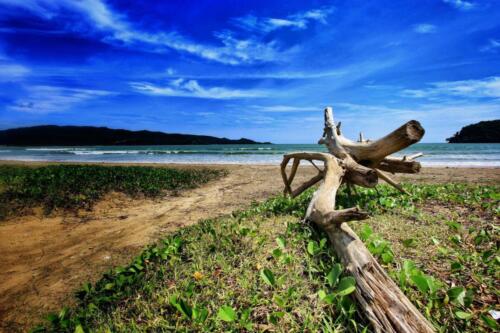 indonesia tours