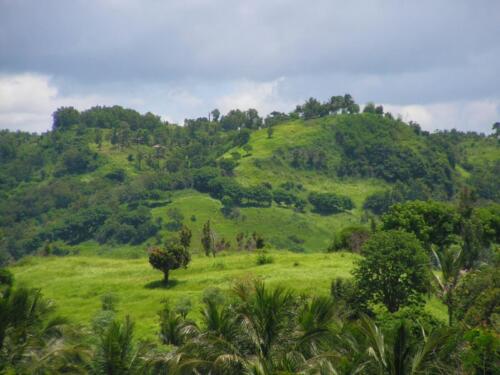 indonesia tours