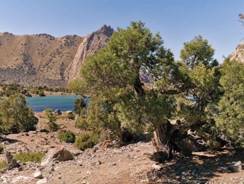 iskanderkul to alauddin trek