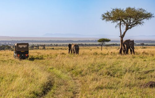 kenya tours