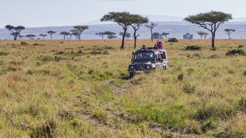 kenya tours
