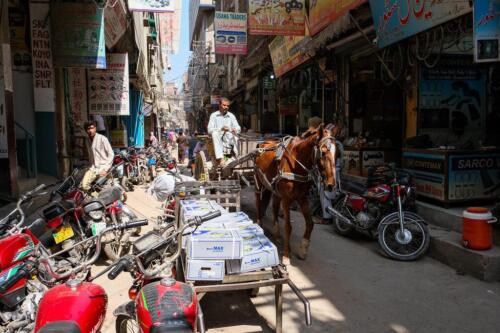 lahore city fort museums and walled city exploration tour