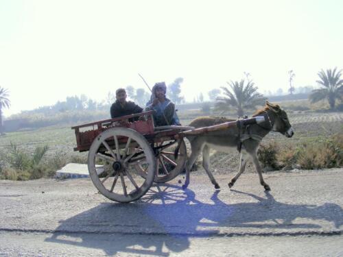 experience local village life in sindh