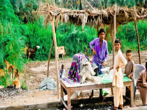 experience local village life in sindh