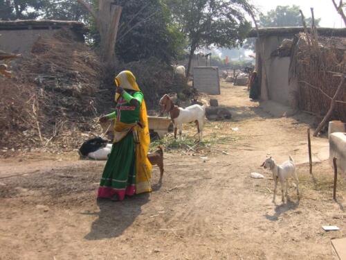 experience local village life in sindh