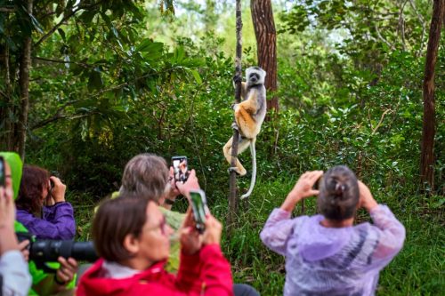 madagascar tours