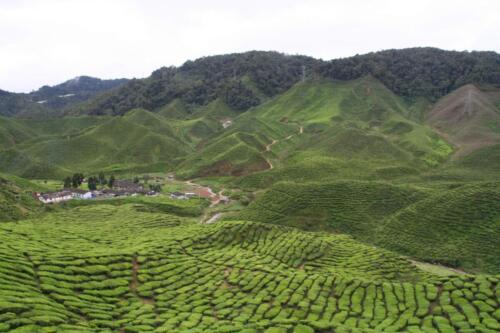 malaysia tours