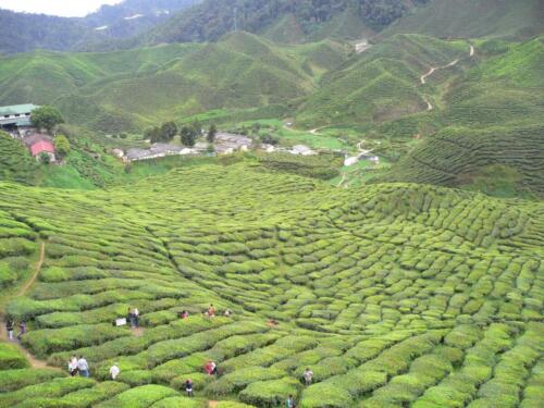 malaysia tours