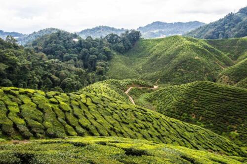malaysia tours