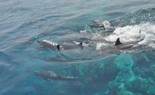 maldives tours