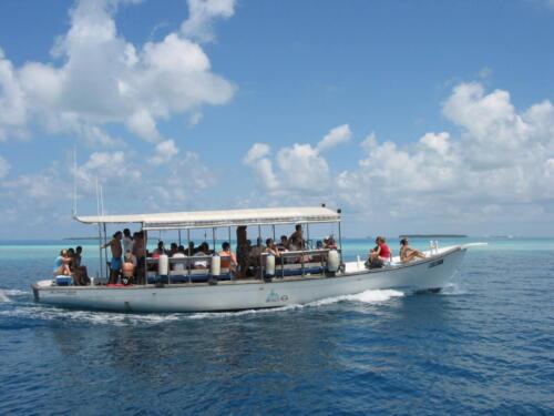 maldives tours