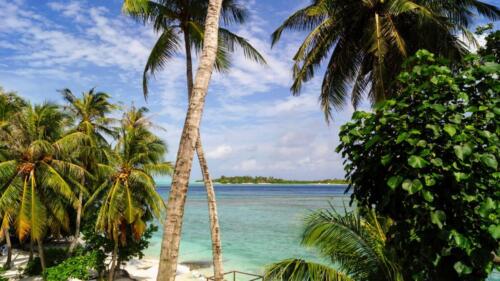 maldives tours
