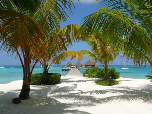 maldives tours