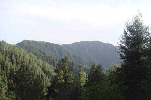 miranjani to dagri bangla trek