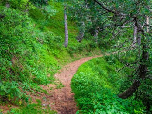 miranjani to dagri bangla trek