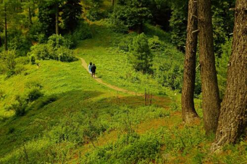 miranjani to dagri bangla trek