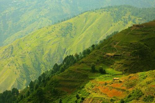 miranjani to dagri bangla trek